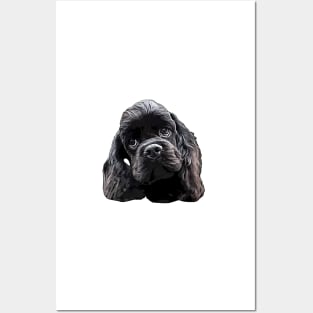 American Cocker Spaniel Cutest Black Dog Posters and Art